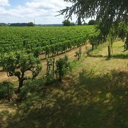 Mirande Montagne-saint Emilion * Montagne (Gironde)