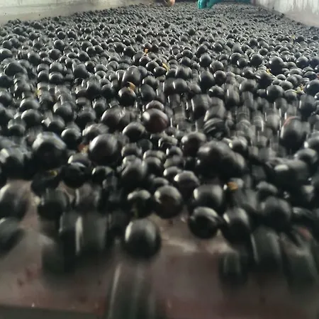 Appartamento Mirande Montagne-saint Emilion Montagne (Gironde)