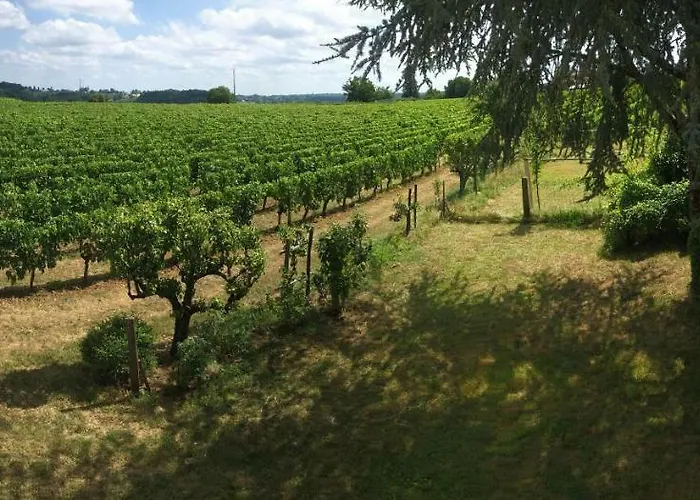 Mirande Montagne-saint Emilion * Montagne (Gironde)